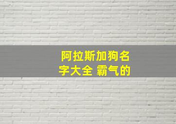 阿拉斯加狗名字大全 霸气的